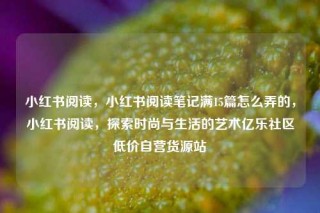 小红书阅读，小红书阅读笔记满15篇怎么弄的，小红书阅读，探索时尚与生活的艺术亿乐社区低价自营货源站