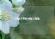 抖音自助刷粉丝在哪里