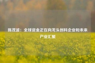 陈茂波：全球资金正在向龙头创科企业和未来产业汇聚