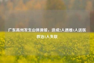广东高州发生山体滑坡，造成2人遇难4人送医救治1人失联