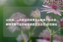 QQ会员，qq会员自动续费怎么取消，QQ会员，解锁无限可能的秘密钥匙亿乐社区SUP货源站
