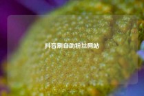 抖音刷自助粉丝网站