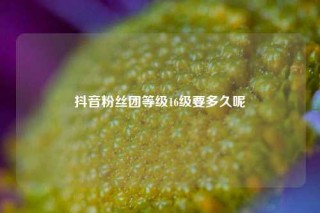 抖音粉丝团等级16级要多久呢