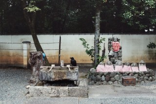 首席体验官｜京都清水青龙酒店，在清水寺下，改造一间旧校舍