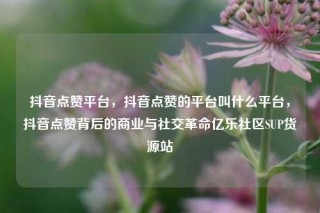 抖音点赞平台，抖音点赞的平台叫什么平台，抖音点赞背后的商业与社交革命亿乐社区SUP货源站