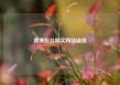 微博粉丝购买网站链接
