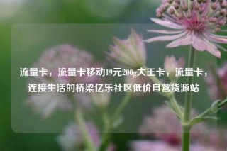 流量卡，流量卡移动19元200g大王卡，流量卡，连接生活的桥梁亿乐社区低价自营货源站