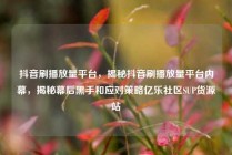 抖音刷播放量平台，揭秘抖音刷播放量平台内幕，揭秘幕后黑手和应对策略亿乐社区SUP货源站