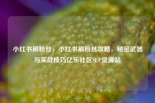 小红书刷粉丝，小红书刷粉丝攻略，秘密武器与实战技巧亿乐社区SUP货源站