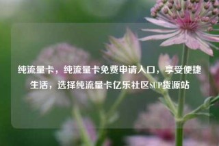 纯流量卡，纯流量卡免费申请入口，享受便捷生活，选择纯流量卡亿乐社区SUP货源站