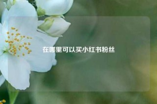 在哪里可以买小红书粉丝