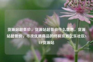 货源站超低价，货源站超低价什么意思，货源站超低价，寻找优质商品的终极攻略亿乐社区SUP货源站