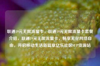 联通19元无限流量卡，联通19元无限流量卡套餐介绍，联通19元无限流量卡，畅享无尽网络自由，开启移动生活新篇章亿乐社区SUP货源站