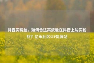 抖音买粉丝，如何合法高效地在抖音上购买粉丝？亿乐社区SUP货源站
