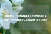抖音刷粉丝，如何有效利用抖音提高粉丝数量，数据分析与策略推荐亿乐社区低价自营货源站