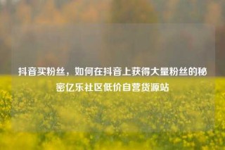 抖音买粉丝，如何在抖音上获得大量粉丝的秘密亿乐社区低价自营货源站