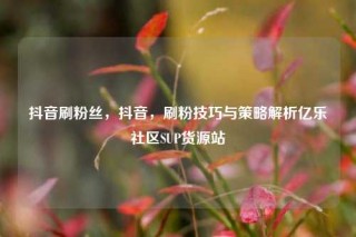 抖音刷粉丝，抖音，刷粉技巧与策略解析亿乐社区SUP货源站