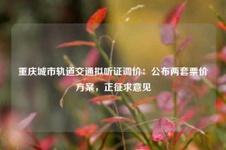 重庆城市轨道交通拟听证调价：公布两套票价方案，正征求意见