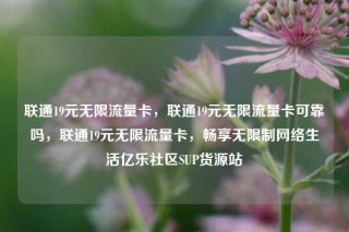 联通19元无限流量卡，联通19元无限流量卡可靠吗，联通19元无限流量卡，畅享无限制网络生活亿乐社区SUP货源站