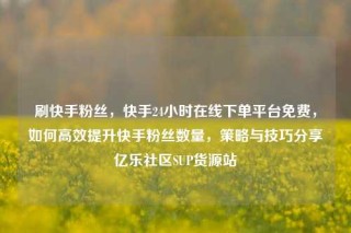 刷快手粉丝，快手24小时在线下单平台免费，如何高效提升快手粉丝数量，策略与技巧分享亿乐社区SUP货源站