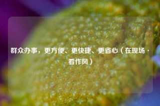 群众办事，更方便、更快捷、更省心（在现场·看作风）