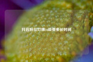 抖音粉丝灯牌16级要多长时间