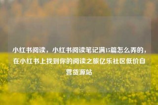 小红书阅读，小红书阅读笔记满15篇怎么弄的，在小红书上找到你的阅读之旅亿乐社区低价自营货源站