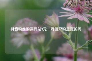 抖音粉丝购买网站3元一万僵尸粉是真的吗