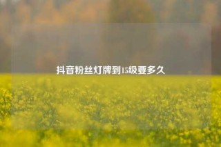 抖音粉丝灯牌到15级要多久