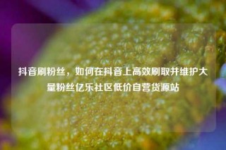 抖音刷粉丝，如何在抖音上高效刷取并维护大量粉丝亿乐社区低价自营货源站