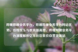 哔哩哔哩业务平台，哔哩哔哩业务平台网站优势，在线娱乐与教育新高地，哔哩哔哩业务平台深度解析亿乐社区低价自营货源站