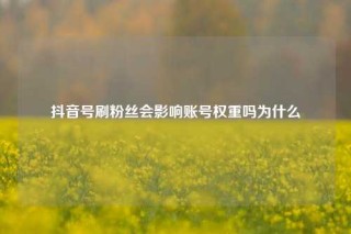 抖音号刷粉丝会影响账号权重吗为什么