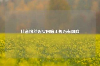 抖音粉丝购买网站正规吗有风险