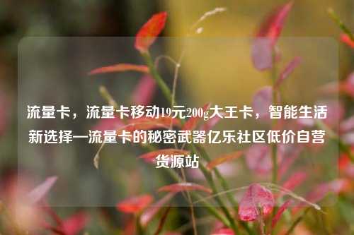 流量卡，流量卡移动19元200g大王卡，智能生活新选择—流量卡的秘密武器亿乐社区低价自营货源站  第1张