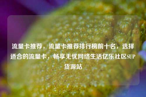 流量卡推荐，流量卡推荐排行榜前十名，选择适合的流量卡，畅享无忧网络生活亿乐社区SUP货源站  第1张