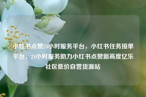 小红书点赞24小时服务平台，小红书任务接单平台，24小时服务助力小红书点赞新高度亿乐社区低价自营货源站  第1张