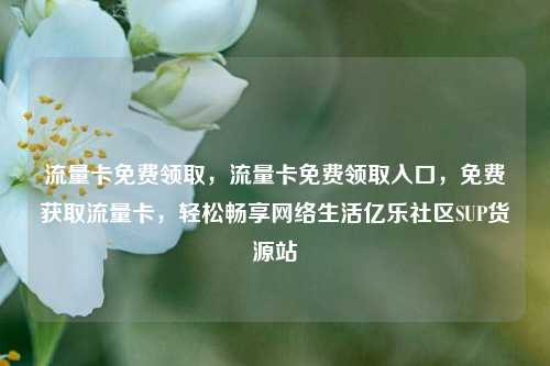 流量卡免费领取，流量卡免费领取入口，免费获取流量卡，轻松畅享网络生活亿乐社区SUP货源站  第1张
