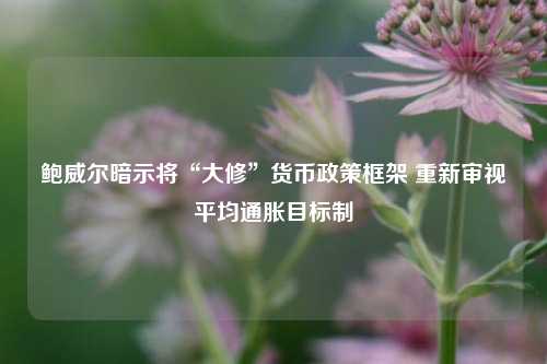 鲍威尔暗示将“大修”货币政策框架 重新审视平均通胀目标制  第1张