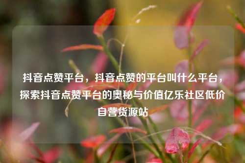 抖音点赞平台，抖音点赞的平台叫什么平台，探索抖音点赞平台的奥秘与价值亿乐社区低价自营货源站  第1张