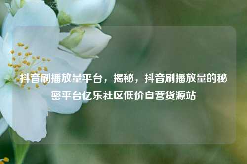 抖音刷播放量平台，揭秘，抖音刷播放量的秘密平台亿乐社区低价自营货源站  第1张