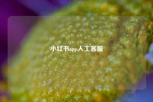 小红书app人工客服  第1张