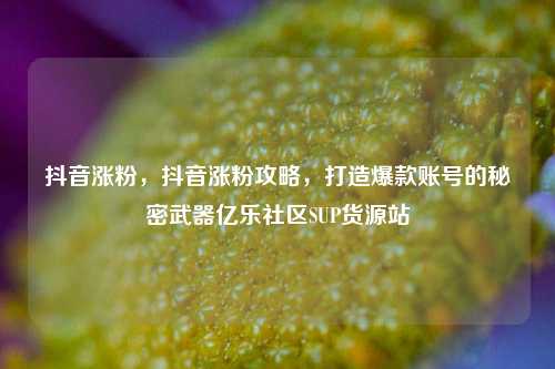 抖音涨粉，抖音涨粉攻略，打造爆款账号的秘密武器亿乐社区SUP货源站  第1张