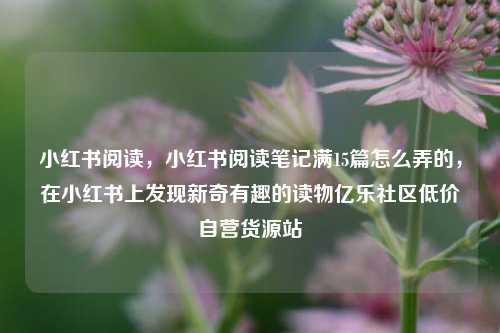 小红书阅读，小红书阅读笔记满15篇怎么弄的	，在小红书上发现新奇有趣的读物亿乐社区低价自营货源站  第1张
