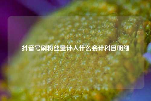 抖音号刷粉丝量计入什么会计科目明细  第1张