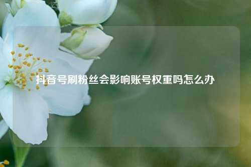 抖音号刷粉丝会影响账号权重吗怎么办  第1张