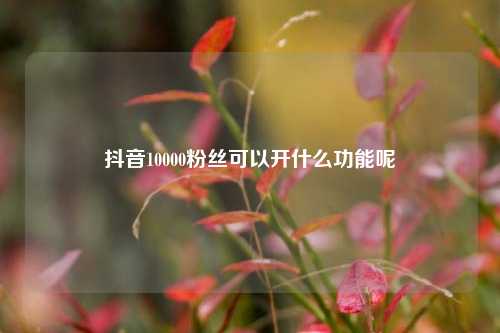 抖音10000粉丝可以开什么功能呢  第1张
