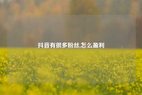 抖音有很多粉丝,怎么盈利  第1张