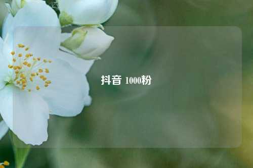 抖音 1000粉  第1张