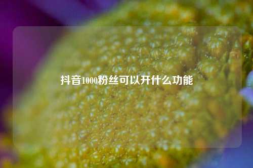 抖音1000粉丝可以开什么功能  第1张