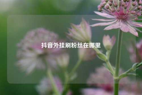 抖音外挂刷粉丝在哪里  第1张